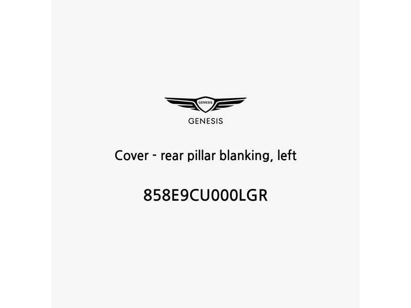 cover-rear-pillar-blanking-left-es-2