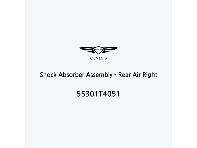 shock-absorber-assembly-rear-air-right-es