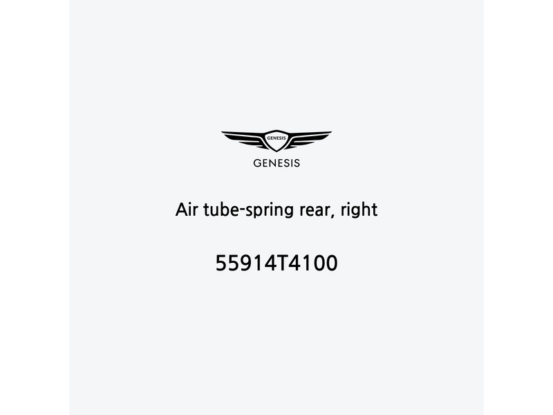 air-tube-spring-rear-right