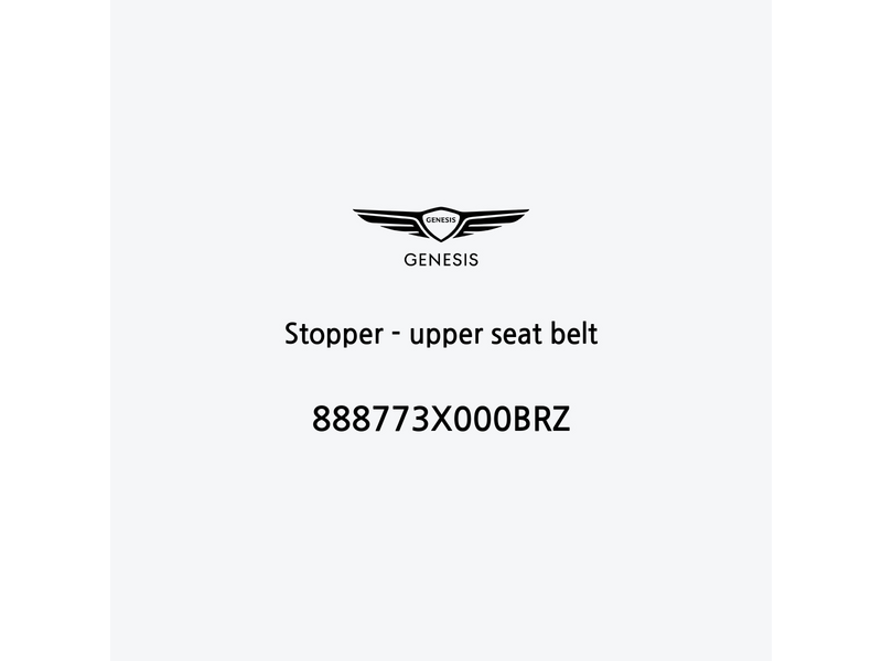 stopper-upper-seat-belt-it-3